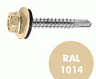 Саморез кровельный RAL-1014  5,5x19 (250шт)